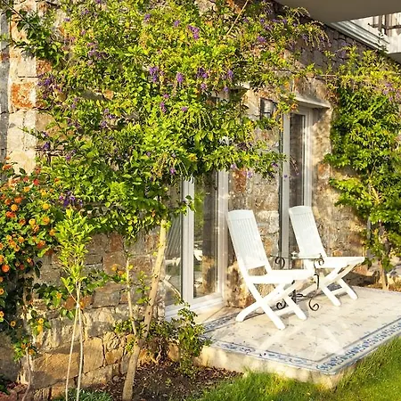 Hotel Swan - Adult Only