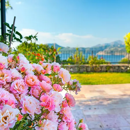 Swan - Adult Only Hotel