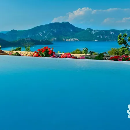 Swan - Adult Only 2* Selimiye (Aegean)