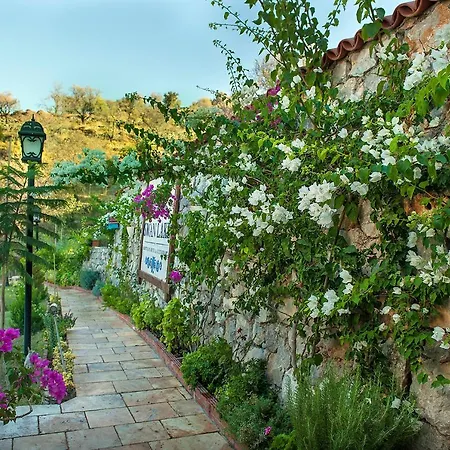 Swan - Adult Only 2*