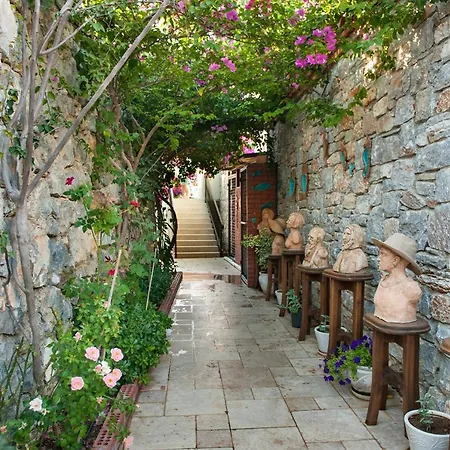 Swan - Adult Only 2* Selimiye (Aegean)