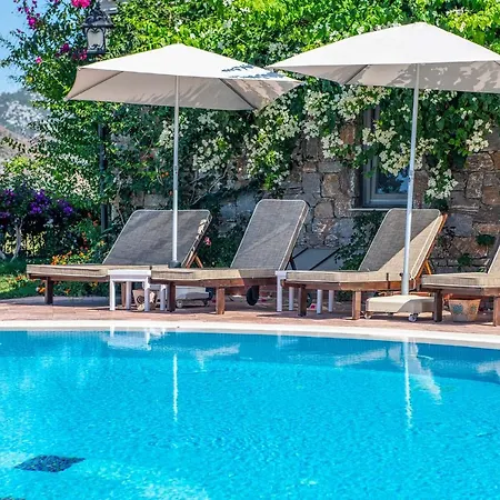 Hotel Swan - Adult Only 2*