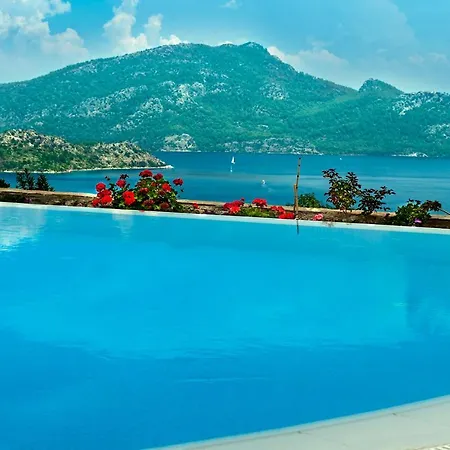 Swan - Adult Only 2*