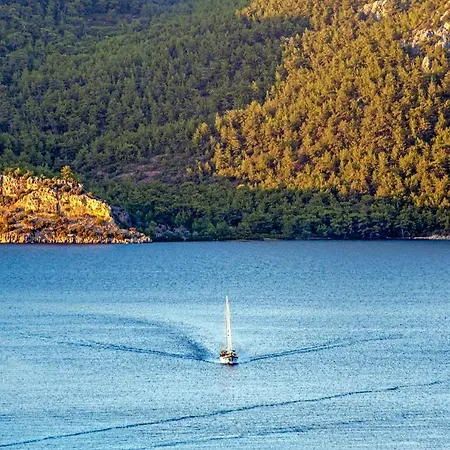 Swan - Adult Only Selimiye (Aegean)