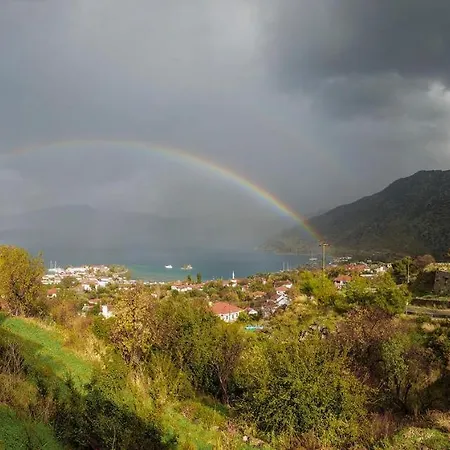 Swan - Adult Only 2* Selimiye (Aegean)