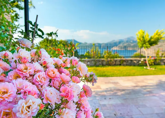 Swan - Adult Only Hotel