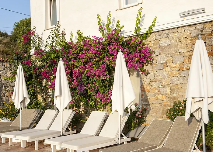 Hotel Swan - Adult Only