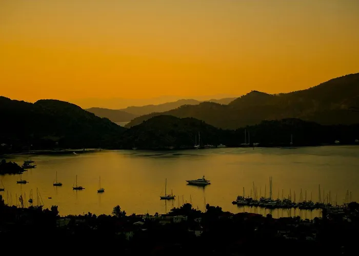 Swan - Adult Only 2*