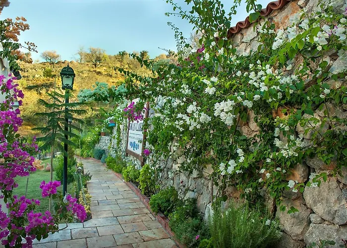 Swan - Adult Only 2*