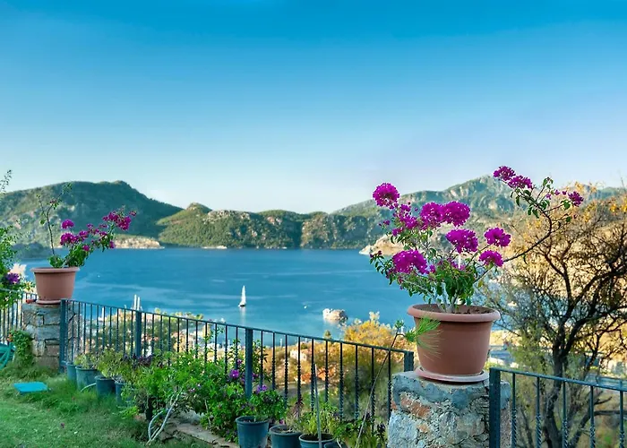 Hotel Swan - Adult Only