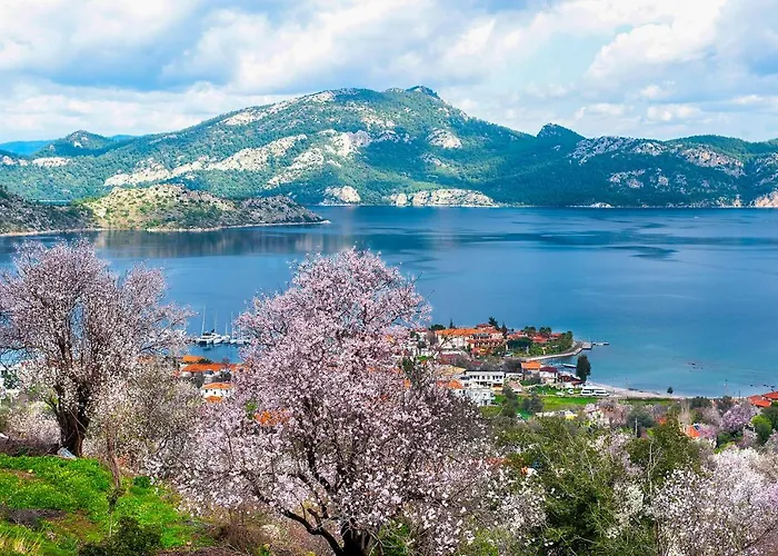 Swan - Adult Only Hotel 2*