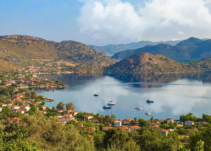 Swan - Adult Only 2*