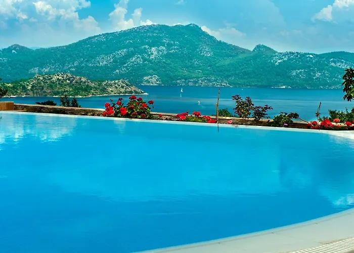 Swan - Adult Only 2*