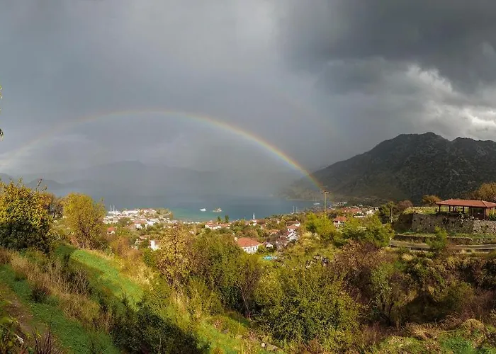 Swan - Adult Only 2* Selimiye (Aegean)