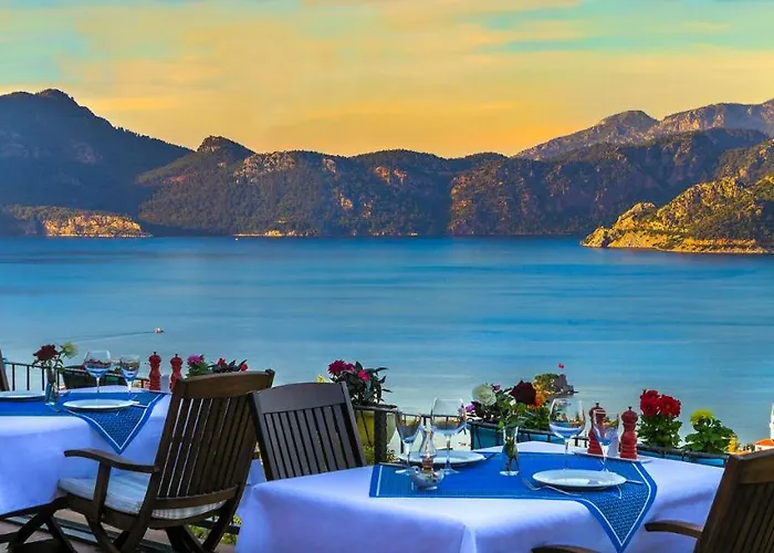 Swan - Adult Only 2*